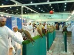 adihex2 adihex2
