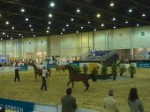adihex4 adihex4