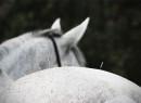 IMG_8671