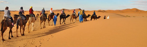 bannercamel