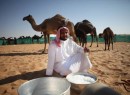 camel milk