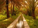 falaj