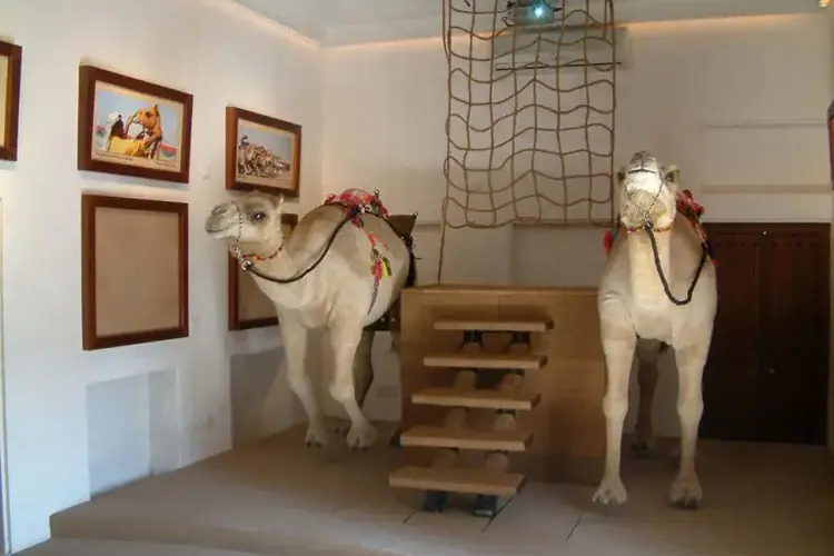 بيت الهجن