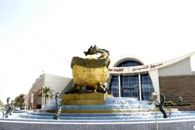 سوق الصيني دبي 1 سوق الصيني دبي