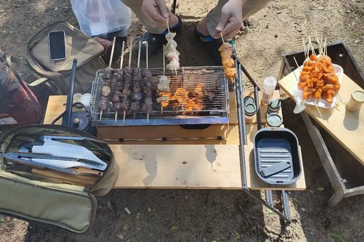 النزهة والشواء في حديقة الممزر