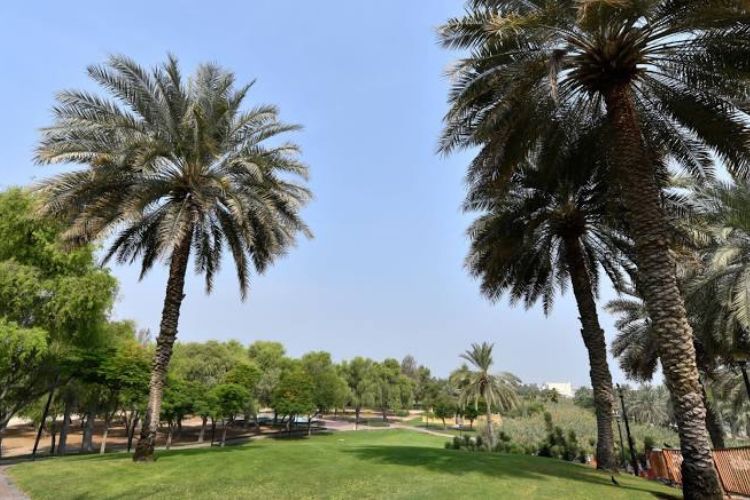 حديقة الصفا دبي