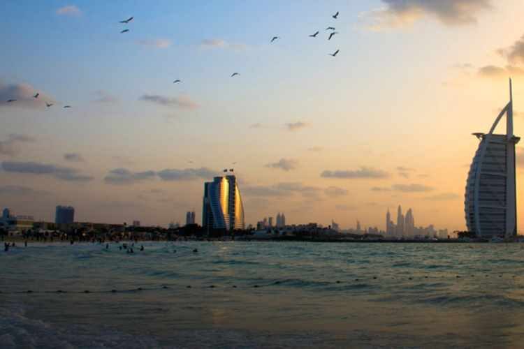 أفضل شاطئ في دبي للعوائل - شاطئ سنسيت بيتش
