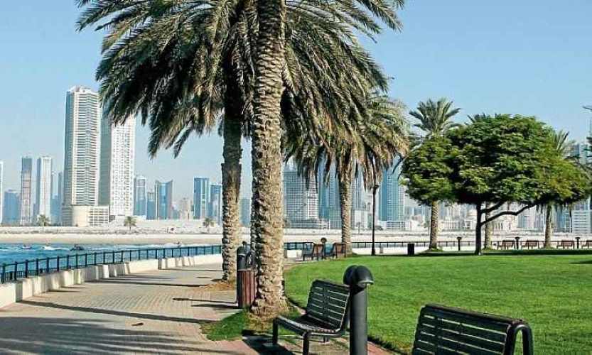 الأنشطة الترفيهية في حديقة الممزر دبي