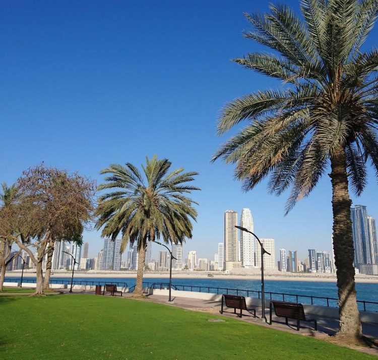 معلومات التواصل مع حديقة الممزر